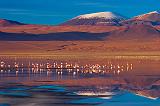 Laguna Colorada, Bolivia